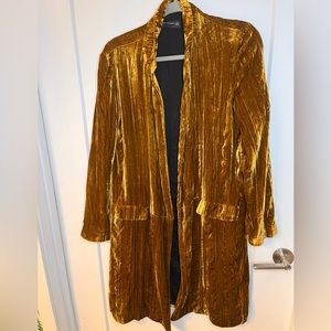 Zara Bronze Velvet Long Blazer Stevie Nicks Gypsy